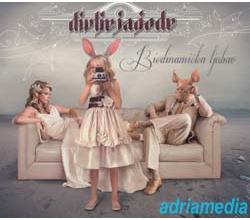 DIVLJE JAGODE - Biodinamicka ljubav, 2013 (CD)